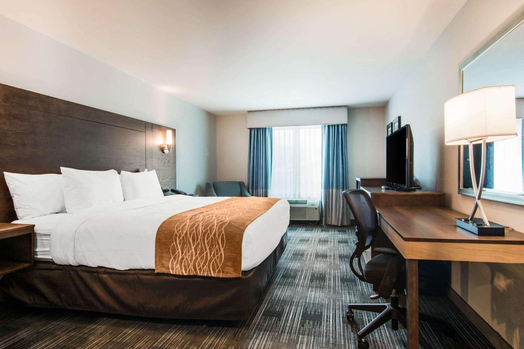 Comfort Inn & Suites East אלייז'ה מראה חיצוני תמונה