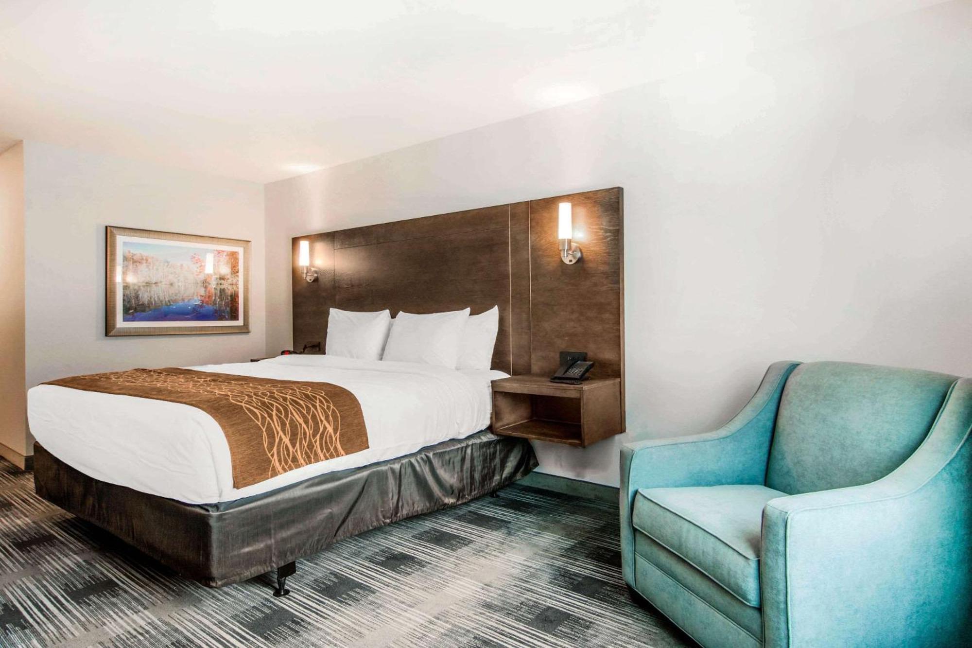 Comfort Inn & Suites East אלייז'ה מראה חיצוני תמונה