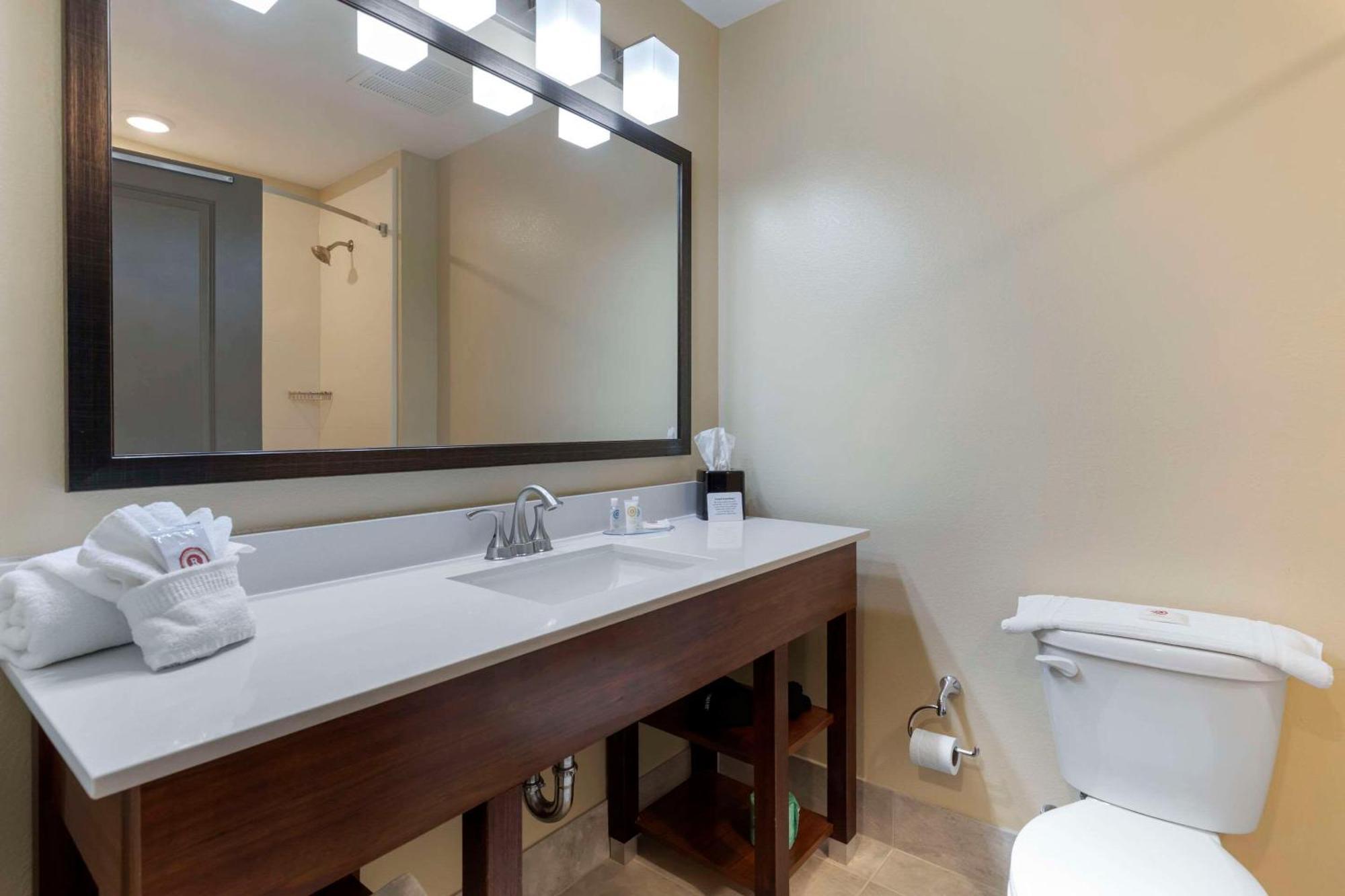 Comfort Inn & Suites East אלייז'ה מראה חיצוני תמונה