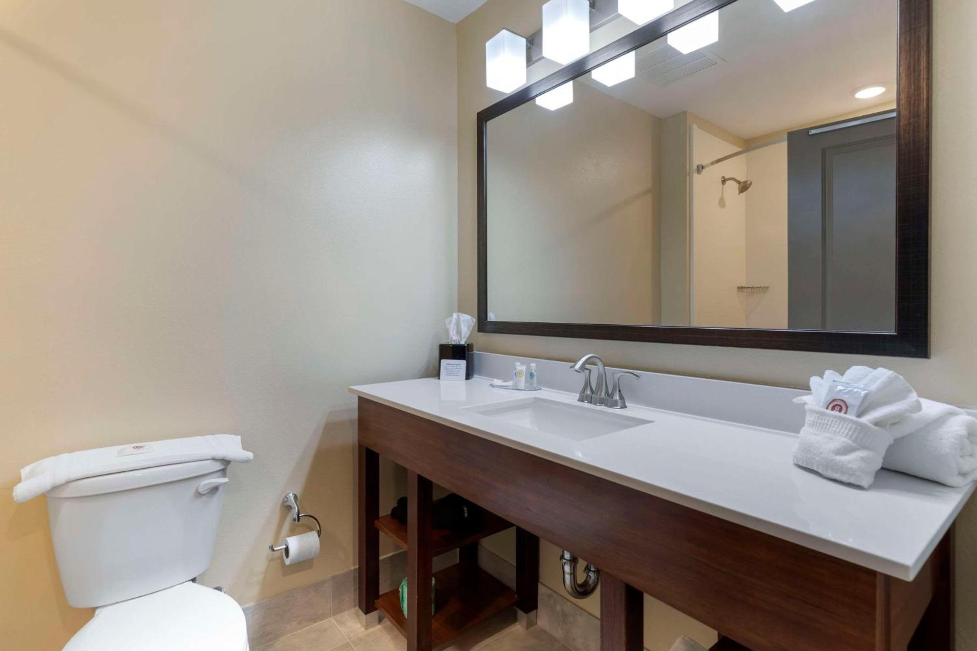 Comfort Inn & Suites East אלייז'ה מראה חיצוני תמונה