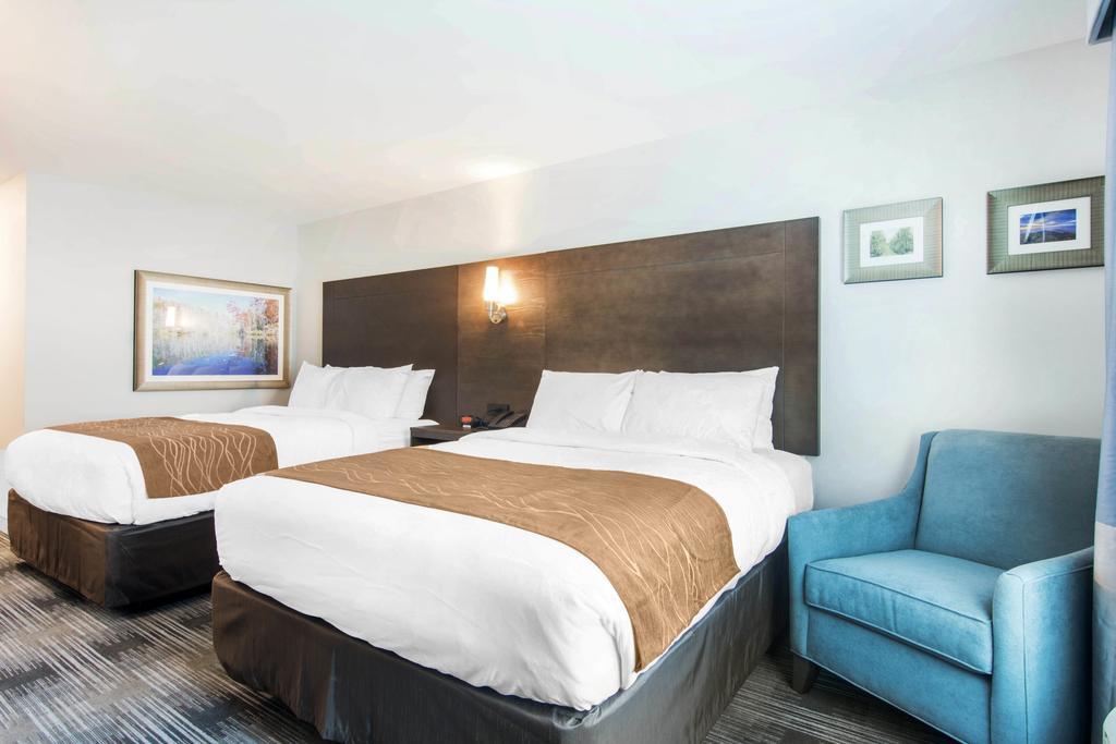 Comfort Inn & Suites East אלייז'ה מראה חיצוני תמונה