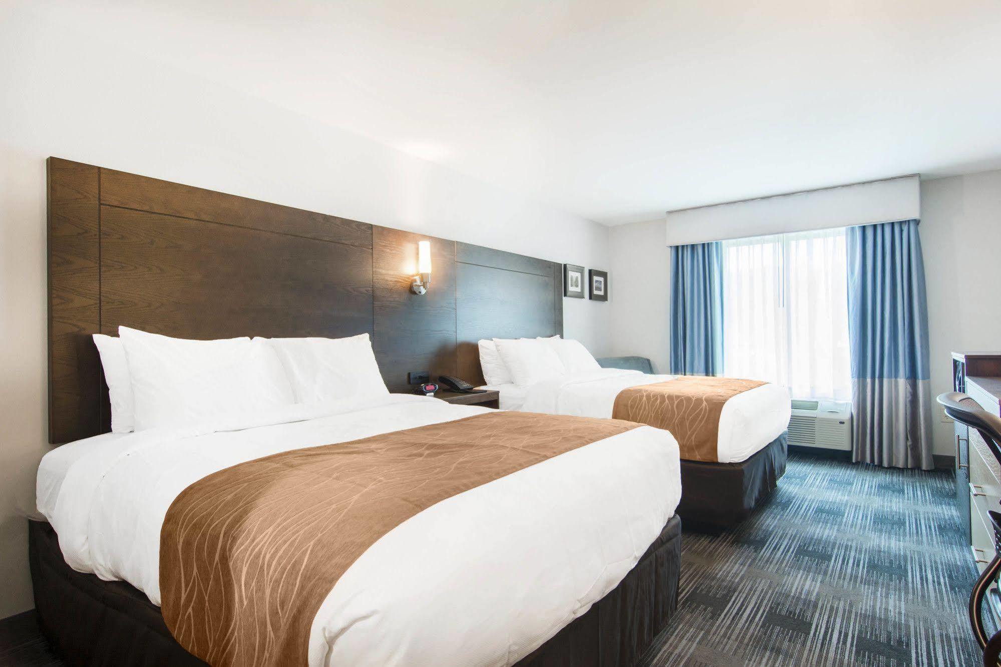 Comfort Inn & Suites East אלייז'ה מראה חיצוני תמונה