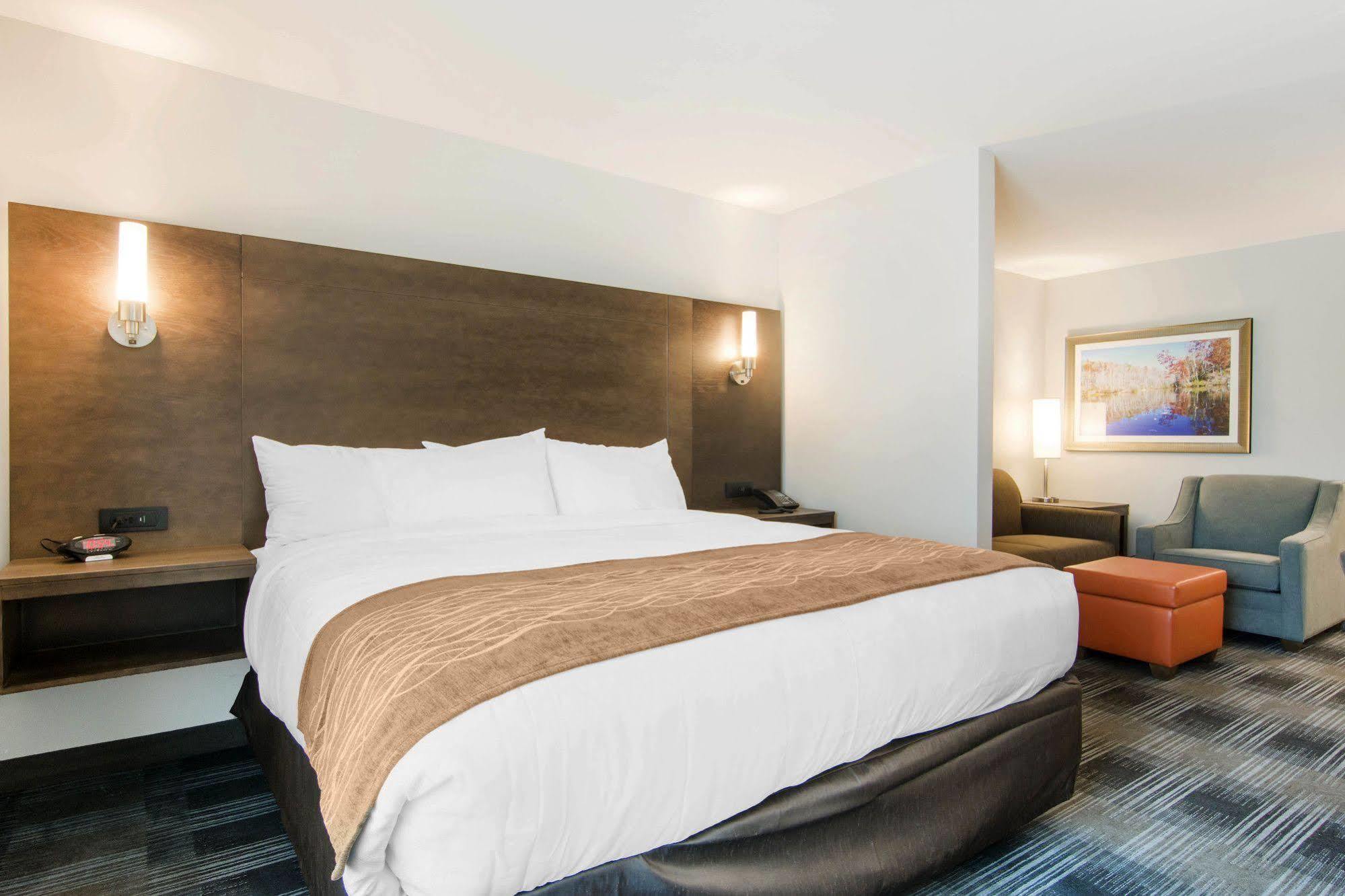 Comfort Inn & Suites East אלייז'ה מראה חיצוני תמונה