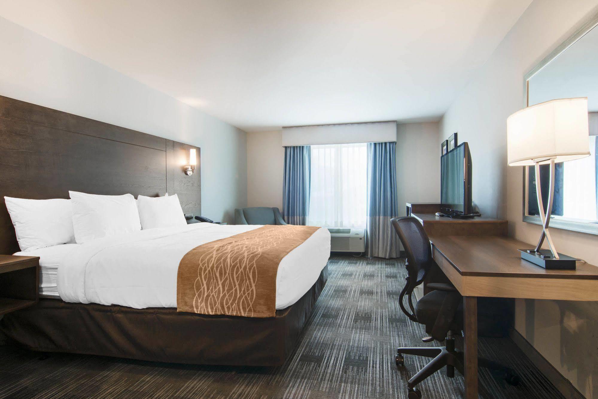 Comfort Inn & Suites East אלייז'ה מראה חיצוני תמונה